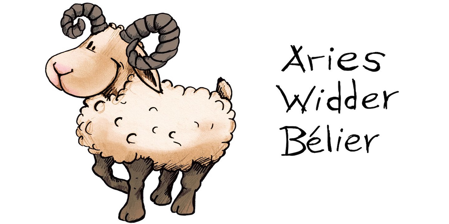 Widder, Aries, Bélier, Zeichnung