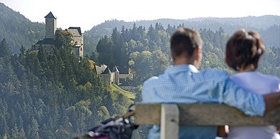 Burg Rapottenstein von der Ferne