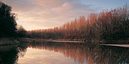 Donauau in der Dämmerung