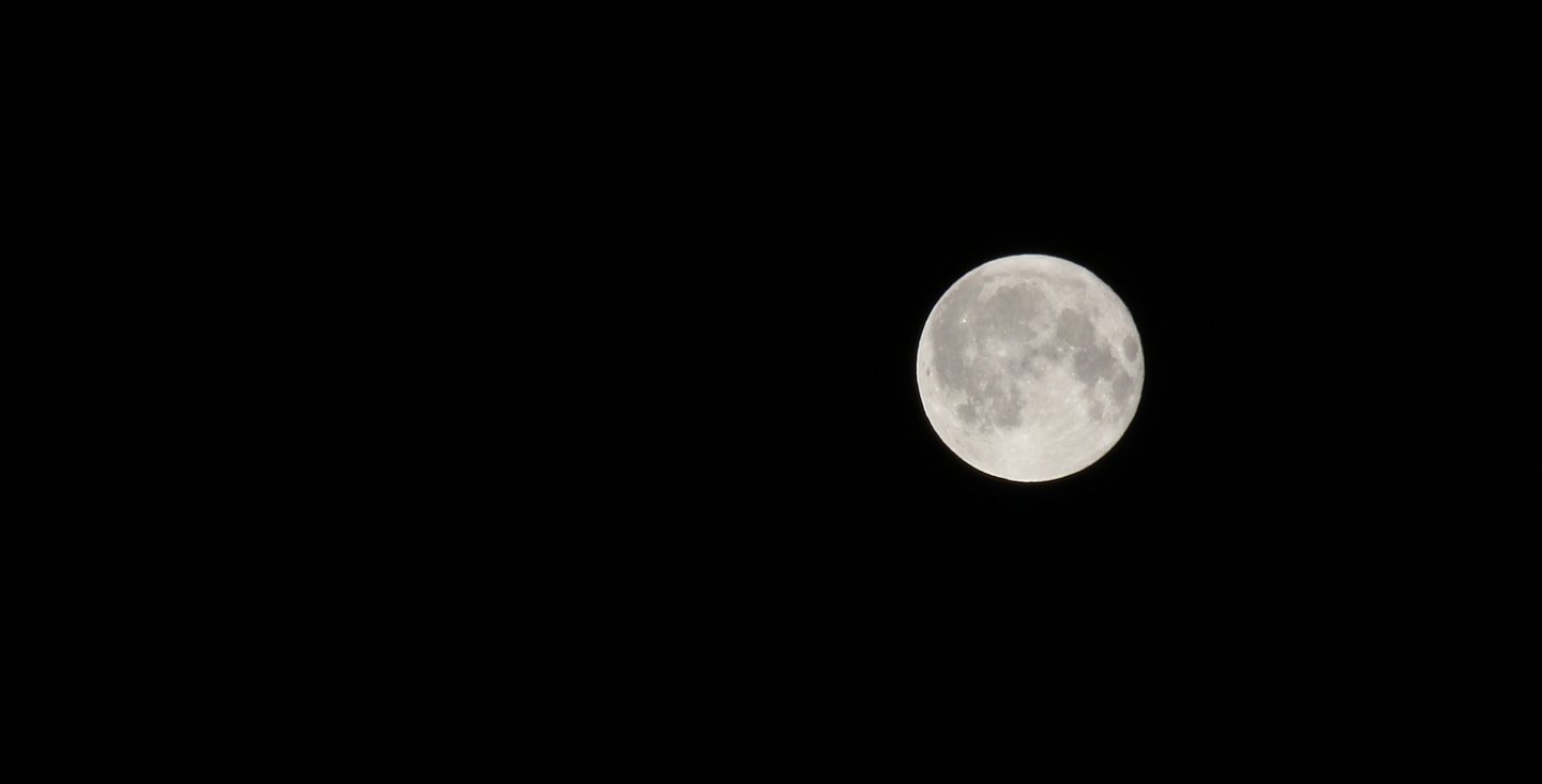 Der Vollmond im schwarzen Himmel