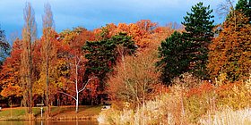 Herbstlandschaft 