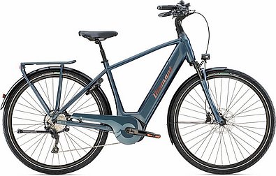 Elektrofahrrad Diamant Zagora