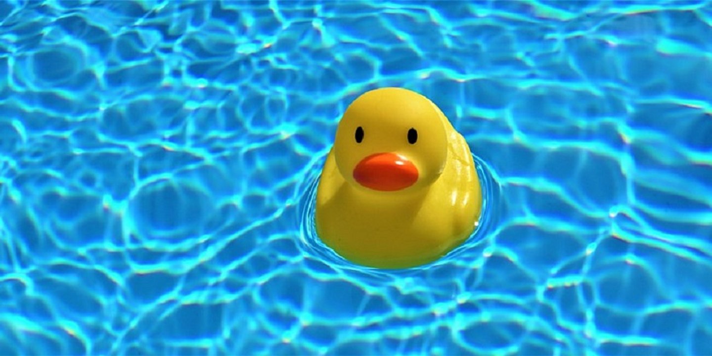 Entchen schwimmt in Swimmingpool