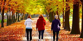 Nordic Walker im Wald