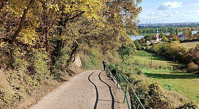 Eine enge Straße führt bergab an einem grünen Geländer vorbei während herbstliche Bäume über die Straße ragen. Ein Wanderer ist von hinten zu sehen.