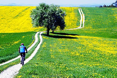 Radfahrer an der Moststraße