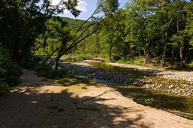 Pfad durch Wald im Helental