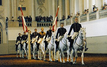 Acht Lipizzaner und ihre Bereiter in Wien bei einer Vorführung vor Publikum.