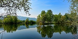 Schönes Wetter und blauer Himmel, Badeteich in der Natur umgeben von Bäumen und Büschen, Wasserspiegelung