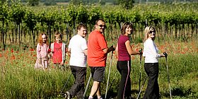 Eine Gruppe Walker in Weinbergen