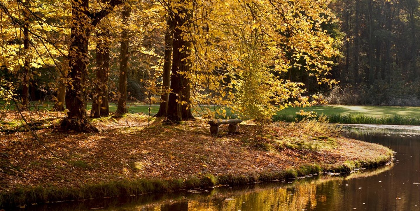 Landschaft im Herbst