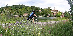 Ein Radfahrer auf einem Weg umgeben von Blumen