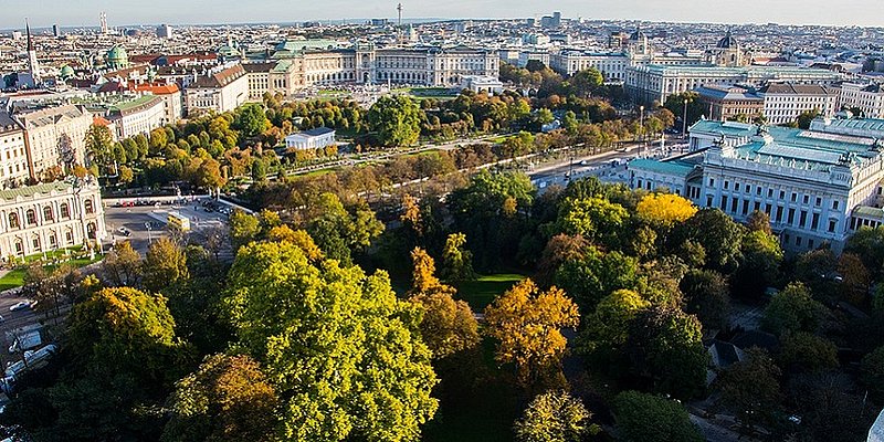 Der Stadtpark aus der Vogelperspektive