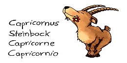 Steinbock mit Blume im Maul gezeichnet, Schrift links Capricornus, Steinbock, Capricorne, Capricornio