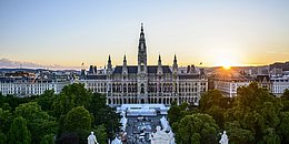 Das Wiener Rathaus bei Sonnenuntergang