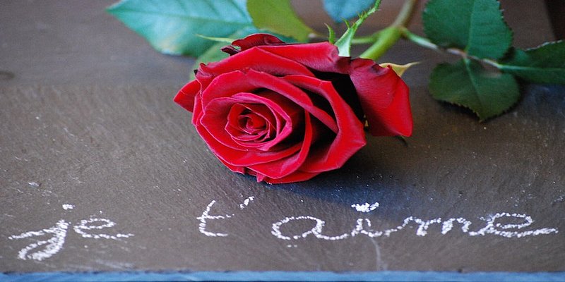 Rote Rose mit Schrift darunter Je t'taime