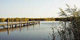 Der Neusiedler See mit Steg an einem sonnigen Tag