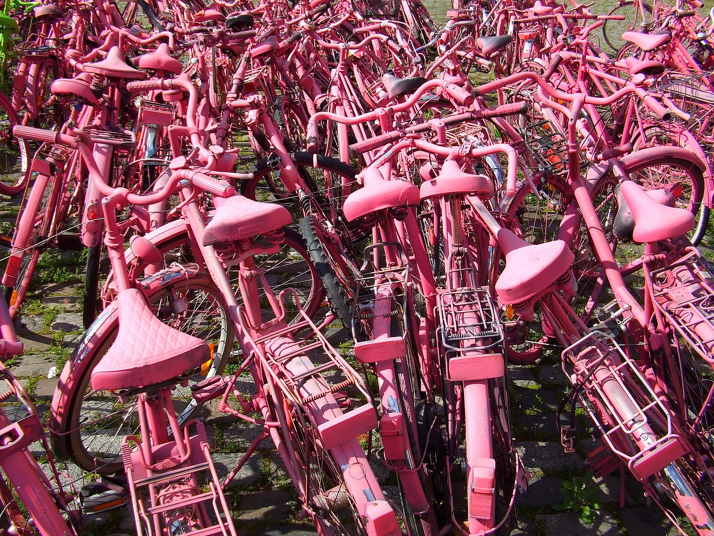 Zahlreiche rosa bemalte Fahrräder