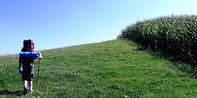 Ein Wanderer mit Rucksack auf einer Wiese