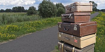 Koffer gestapelt am Straßenrand, vor der Kulisse von grünen Bäumen und Wiesen.