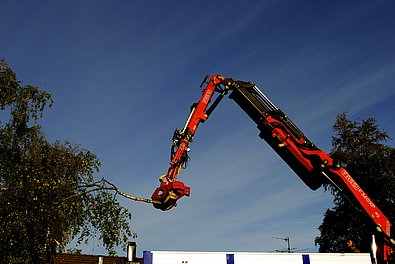 Kran mit Greifzange entfernt Baumäste