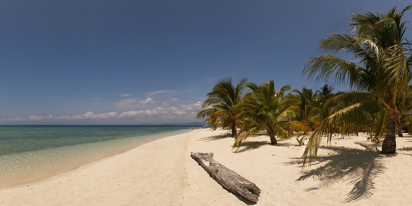 Meer, Strand und Palmen 