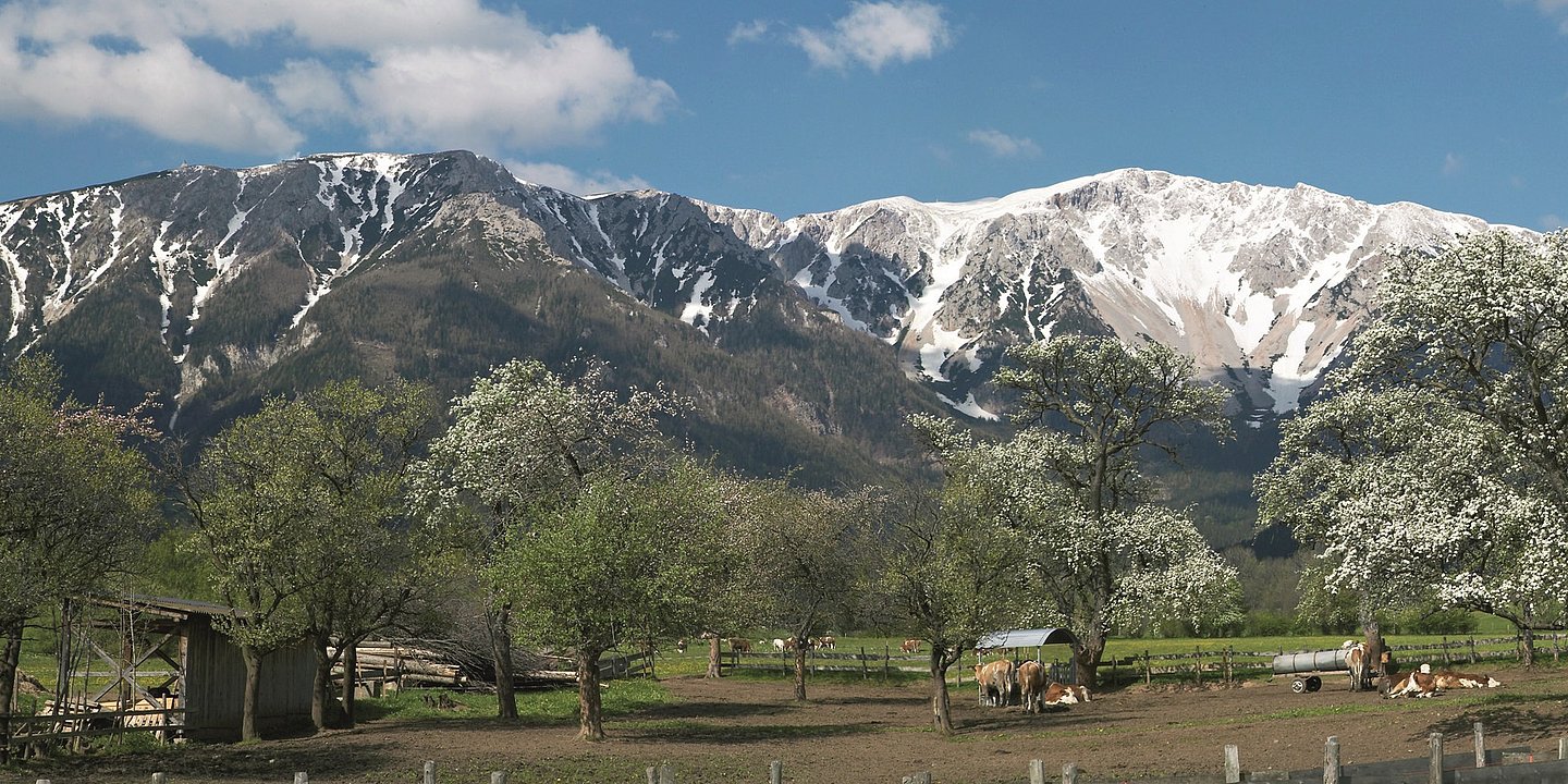 Gipfel des Schneebergs von Puchheim aus gesehen