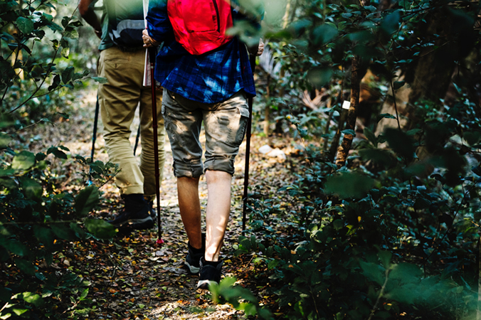 Wanderer mit Stöcken im Wald