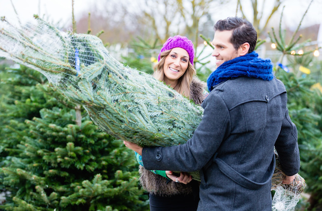 Mann und Frau kaufen Christbaum