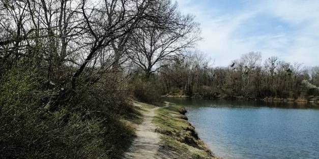 Naturschauspiel in der Lobau